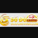 SODO66 VINA Profile Picture