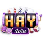 HAYWIN Profile Picture