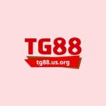 TG88 USORG Profile Picture