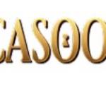 Casoola Casino Profile Picture