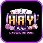 HAYWIN EU Profile Picture