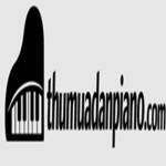 vận chuyển piano Profile Picture