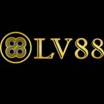 nyccom1 lv88 Profile Picture