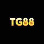 Tg88 racing Profile Picture