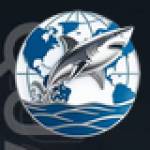 Dsy Truck Profile Picture