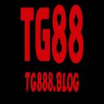 Tg888 blog Profile Picture
