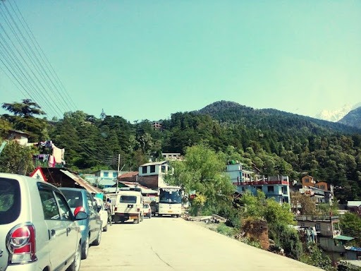 Best Scenic Road Trips from Siliguri Using Car Rentals