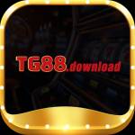 tg88download tg88download Profile Picture