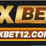 Nhà Đài OXBET12 Profile Picture