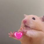 Elmer Davidson Profile Picture