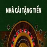 Nhà Cái Tặng Tiền Profile Picture