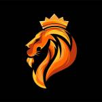 ahmed nagy Profile Picture