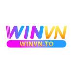 Winvn Us Com Profile Picture