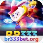 br333bet Profile Picture