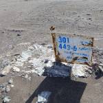 محسن دشتبانی Profile Picture