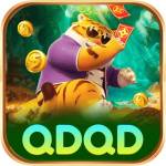 qdqd bet Profile Picture