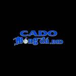 Cá Độ Bóng Đá Profile Picture