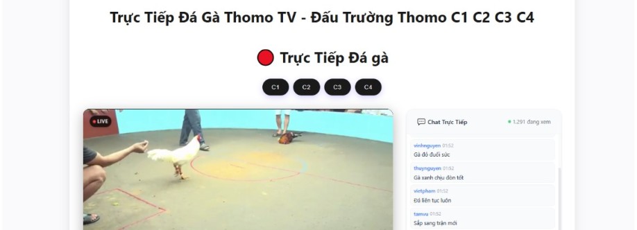 Palmeau Com Cover Image