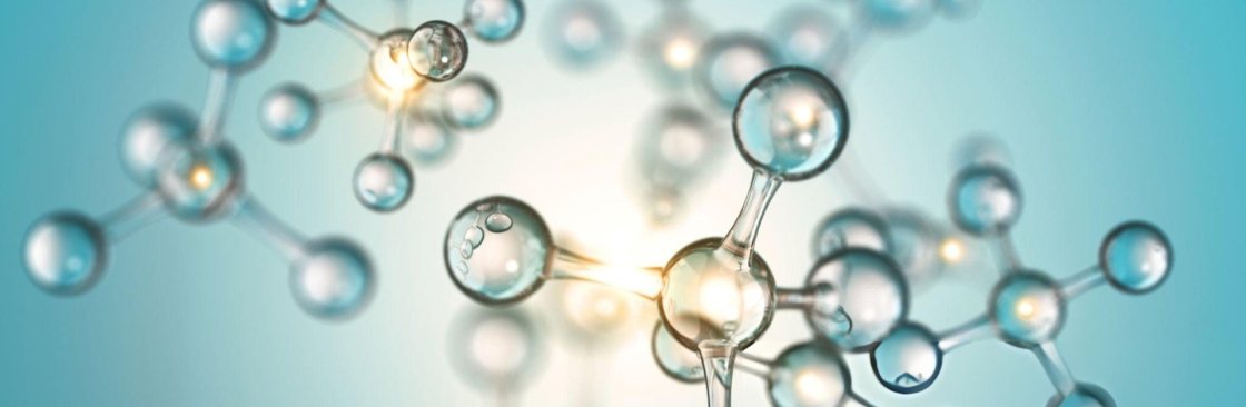 Panacea Chem Specialities LLP Cover Image