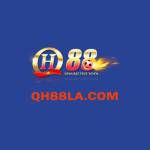 QH88 Profile Picture