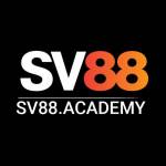 SV88 Profile Picture