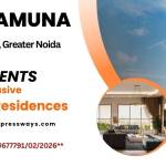 VVIP Yamuna Profile Picture