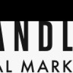 Brandlift Digital Profile Picture