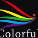 clighting Light Profile Picture