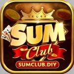sumclub diy Profile Picture