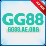 gg88 aeorg Profile Picture