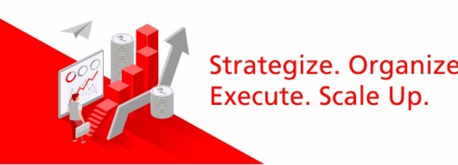 The White Lotus Consultants Cover Image