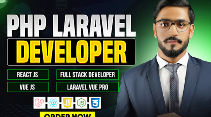 PayMoney - I will do website development as full stack developer and PHP laravel developer