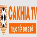 bickellfoundation org lừa đảo org lừa đảo Profile Picture