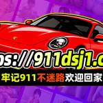 911dsj 911dsj Profile Picture