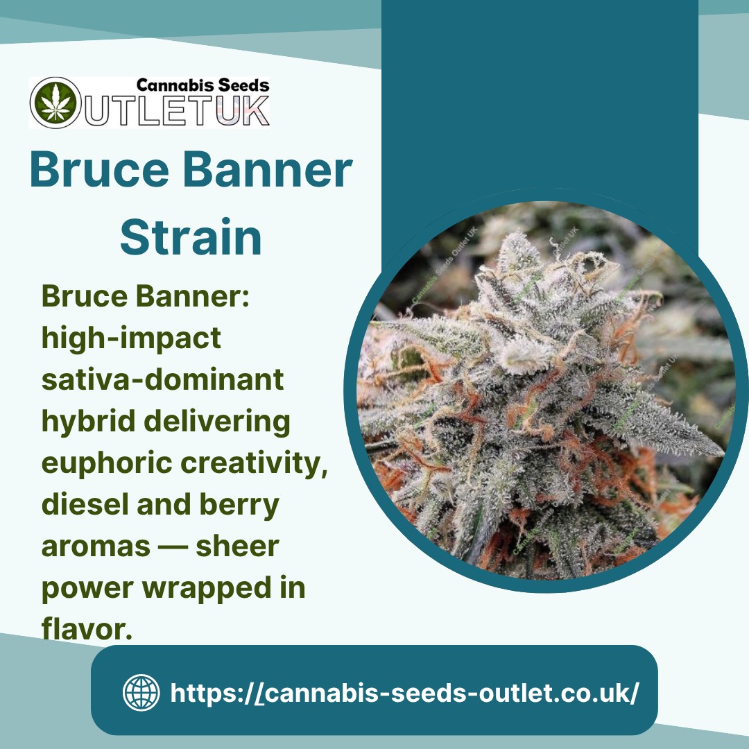 Bruce Banner Strain – Unleash Power in Every Bud  ..