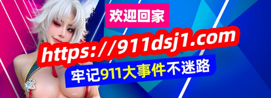 911dsj 911dsj Cover Image