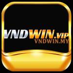 VNDWIN VNDWIN Profile Picture