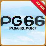 pg66 report Profile Picture