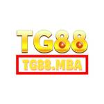 Tg88 Mba Profile Picture