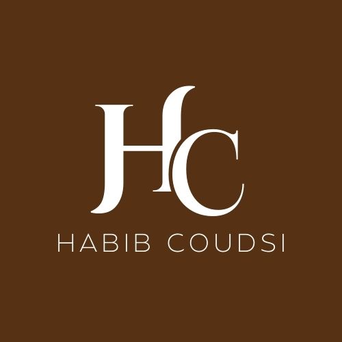 Habib Coudsi | ArtConnect