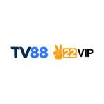 tv88home com Profile Picture