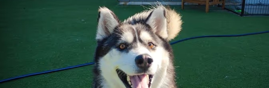 Karnik Pet Lodge at Maple Village Cover Image