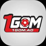 1 Gom Profile Picture