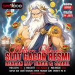 sms 808 Profile Picture