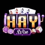 haywinit com Profile Picture