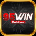 95winit com Profile Picture