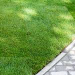 Best Artificial Grass Installati Company Denton Profile Picture