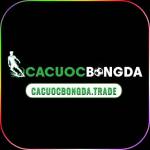 Cacuocbongda trade Profile Picture