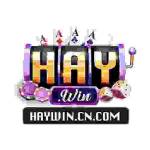 Haywin Cổng Game Bài Profile Picture