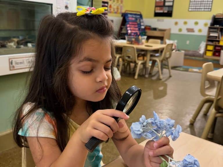 Daycare in Brooklyn: STEM Learning for Young Minds